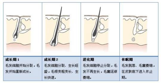 家用脫毛儀能絕毛嗎