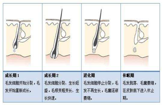 脫毛后又長(zhǎng)，你是不是沒(méi)有用對(duì)方法(圖2)